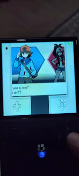 User picture