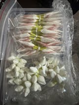 Realistic Jasmine Look Hand Strung String - Big Buds