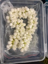 Realistic Bloomed Jasmine Bud String