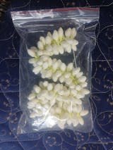 Realistic Jasmine Look Hand Strung String - Big Buds