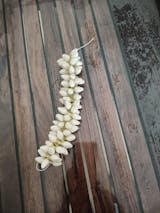 Realistic Jasmine Look Hand Strung String - Big Buds