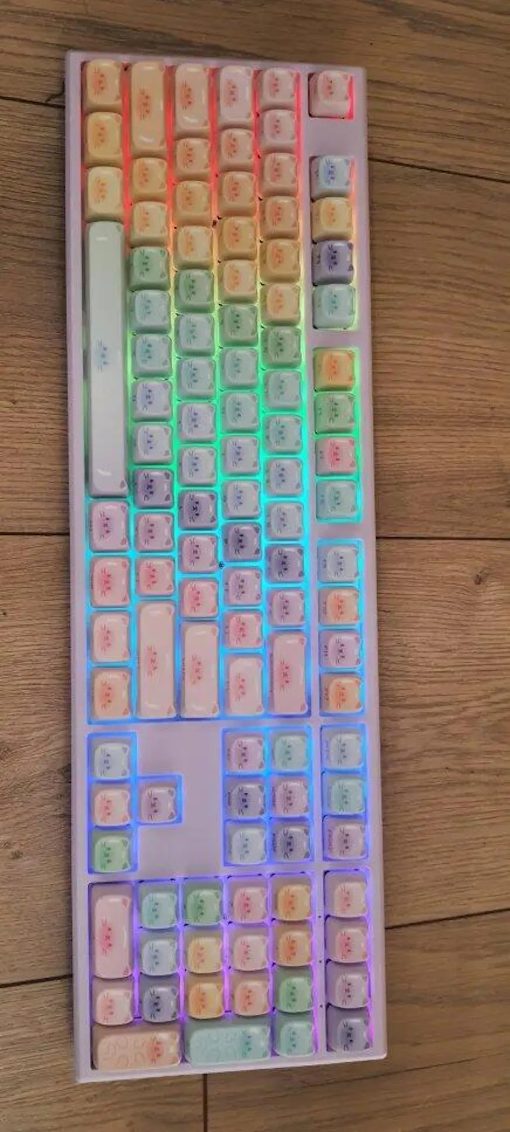 MG108B Colorful Cats