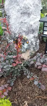 Dragon-Shaped Resin Giant Lawn Sculpture – Gothic Fantasy Dragon Statue for Garden & Courtyard Decoration