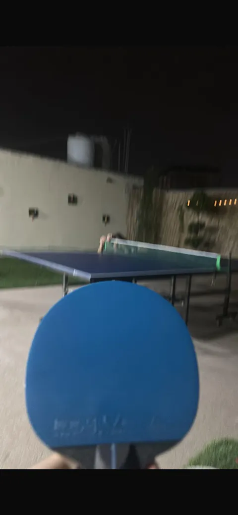 Table Tennis Foldable Table with Wheels