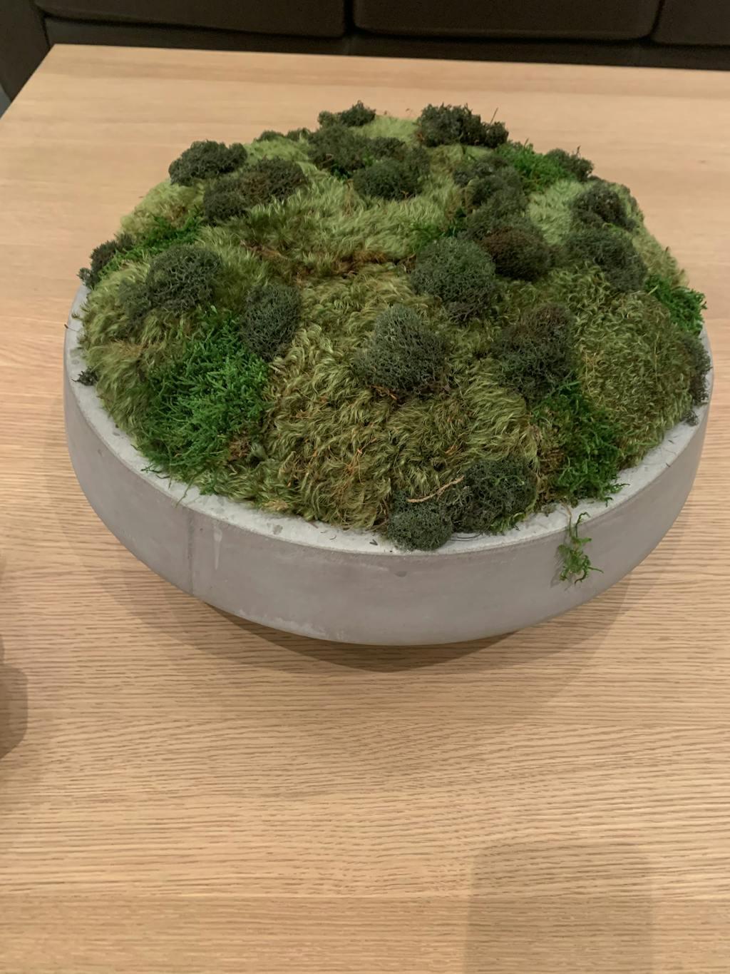 MOSS MOUND | Alice Lane Home Collection