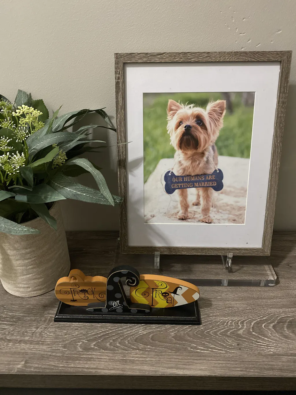 Lucite Galerie Espositore Per Libri Acrilico Trasparente 2 Pezzi: Alice Lane Home Collection, 33x30x13cm