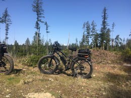 BAM EW-Supreme 750W Electric Bike 48V