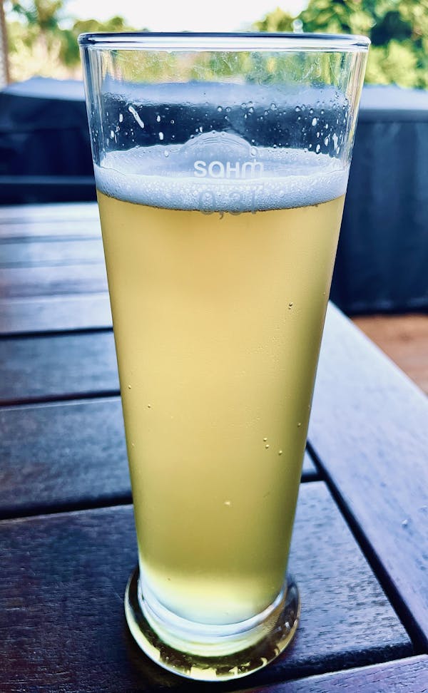 ATF Southern Pilsner - Grainfather | Brewzilla | Guten 40
