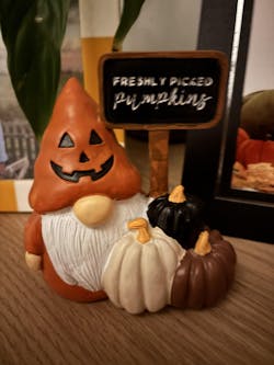 Freshly Picked Pumpkins Gonk