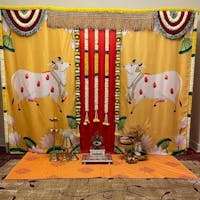Allenjoy Custom Backdrop DLZ-CUS-001