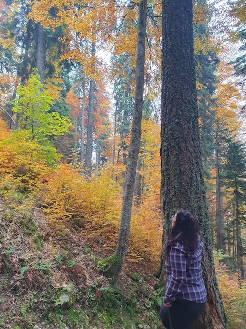 Alpine Nation Outdoor Clothing