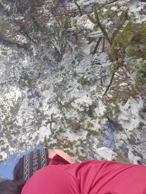 Abisko Knitted Headband Arctic Night