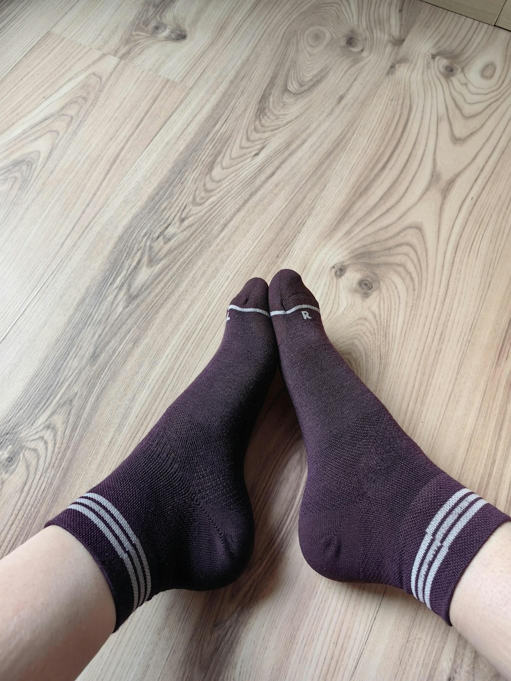 Seceda Light Merino Mid Crew Socks Burgundy