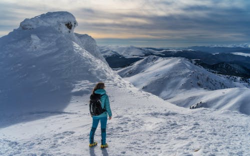 APEX Winter Pocket Leggings Magenta