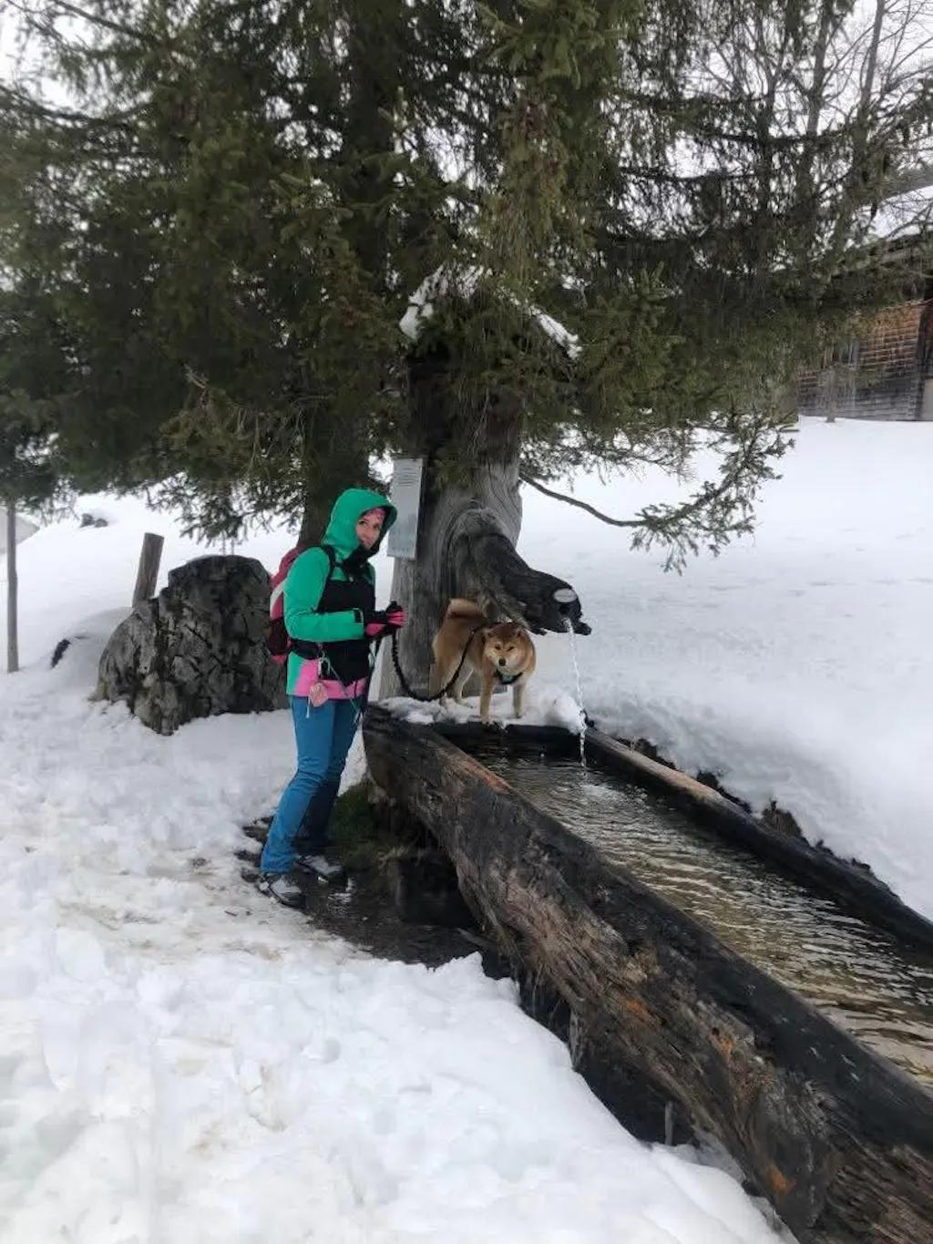 APEX Winter Leggings Ice Blue