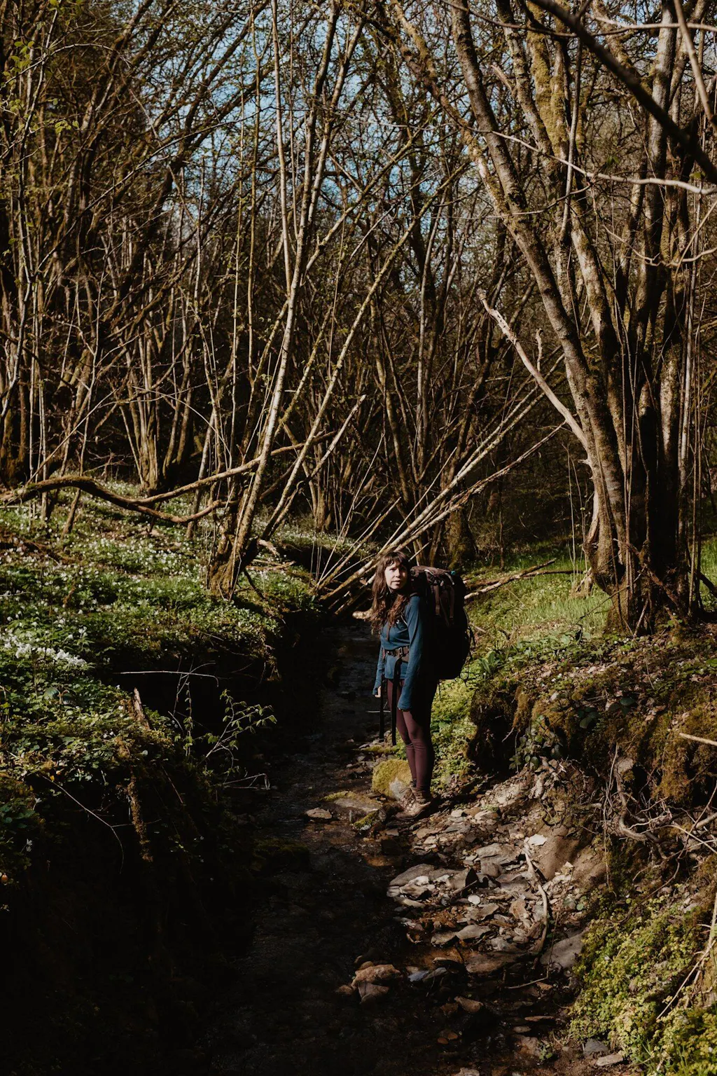 Momentum Sweater Deep Forest