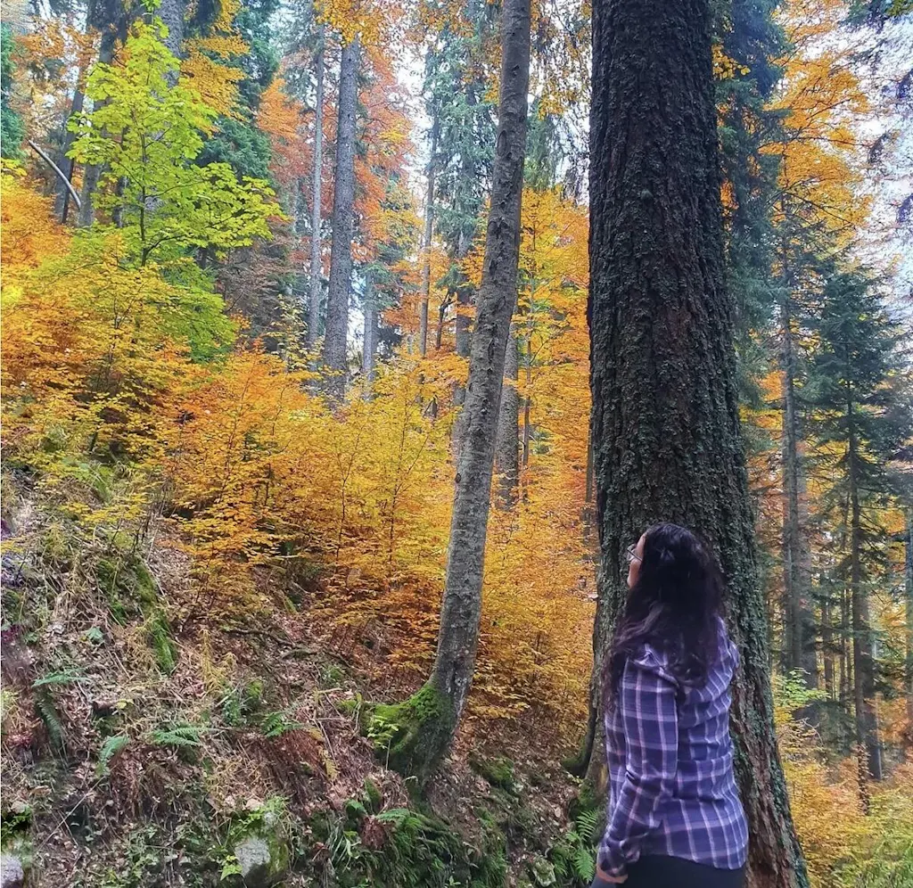 Sierra Flannel Shirt - Heather