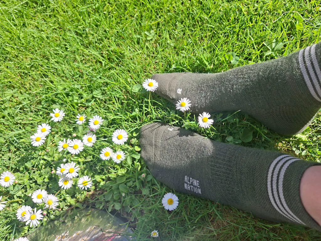 Seceda Light Merino Mid Crew Socks Moss Green