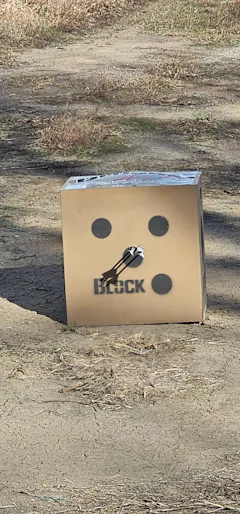 Review picture