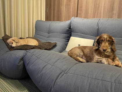 引渡し済【取りに来ていただける方限定】アンビエントラウンジ アク 引渡し済【取りに来ていただける方限定】アンビエントラウンジ アク