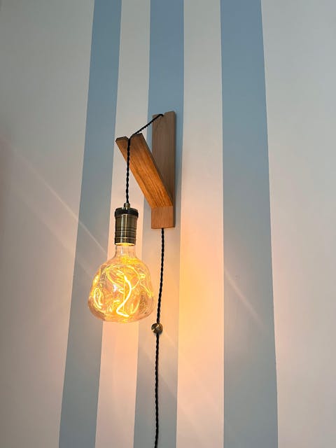 Bronze Plug-In Hanging Wall Light