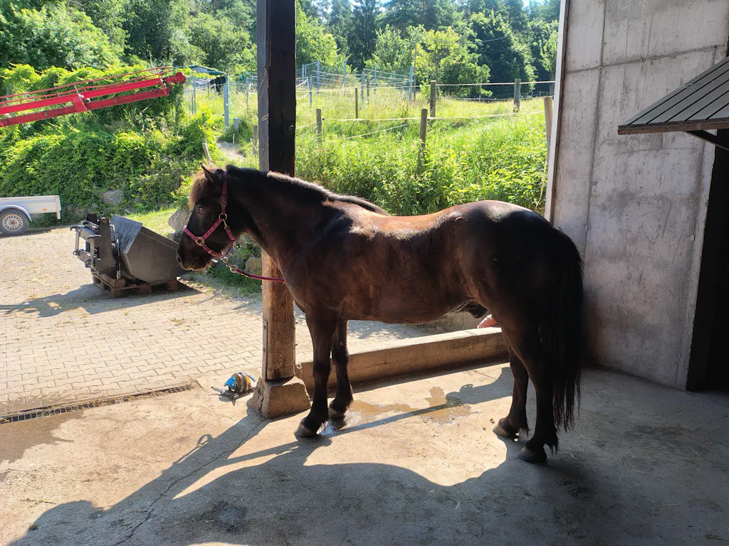 Aminosäuren Basismix 2.000g