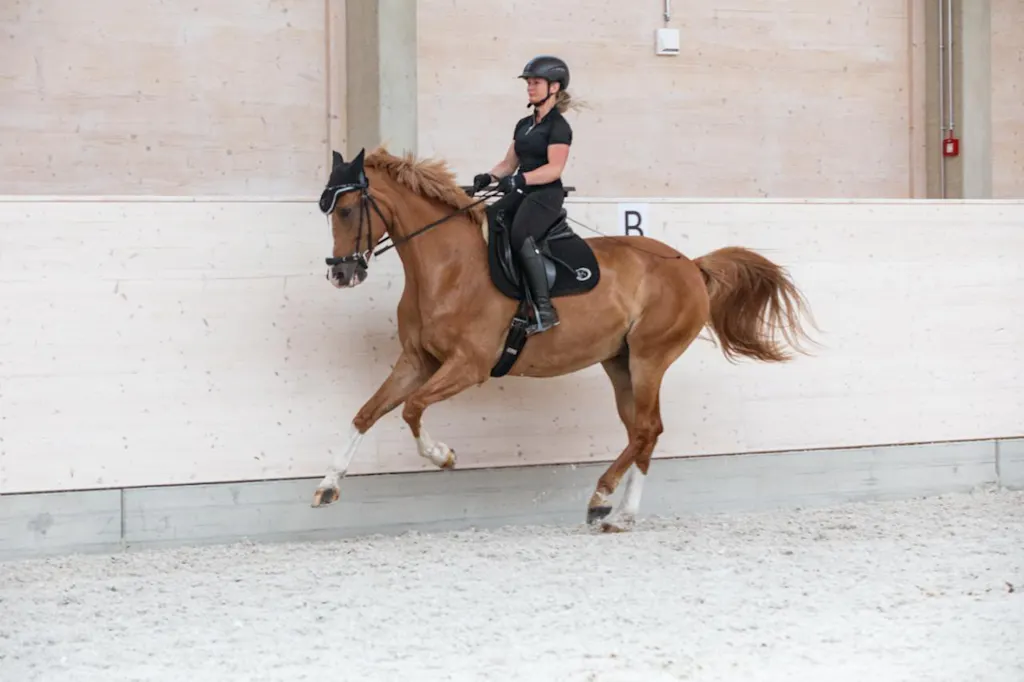 Aminosäuren Vitalmix 1.800g