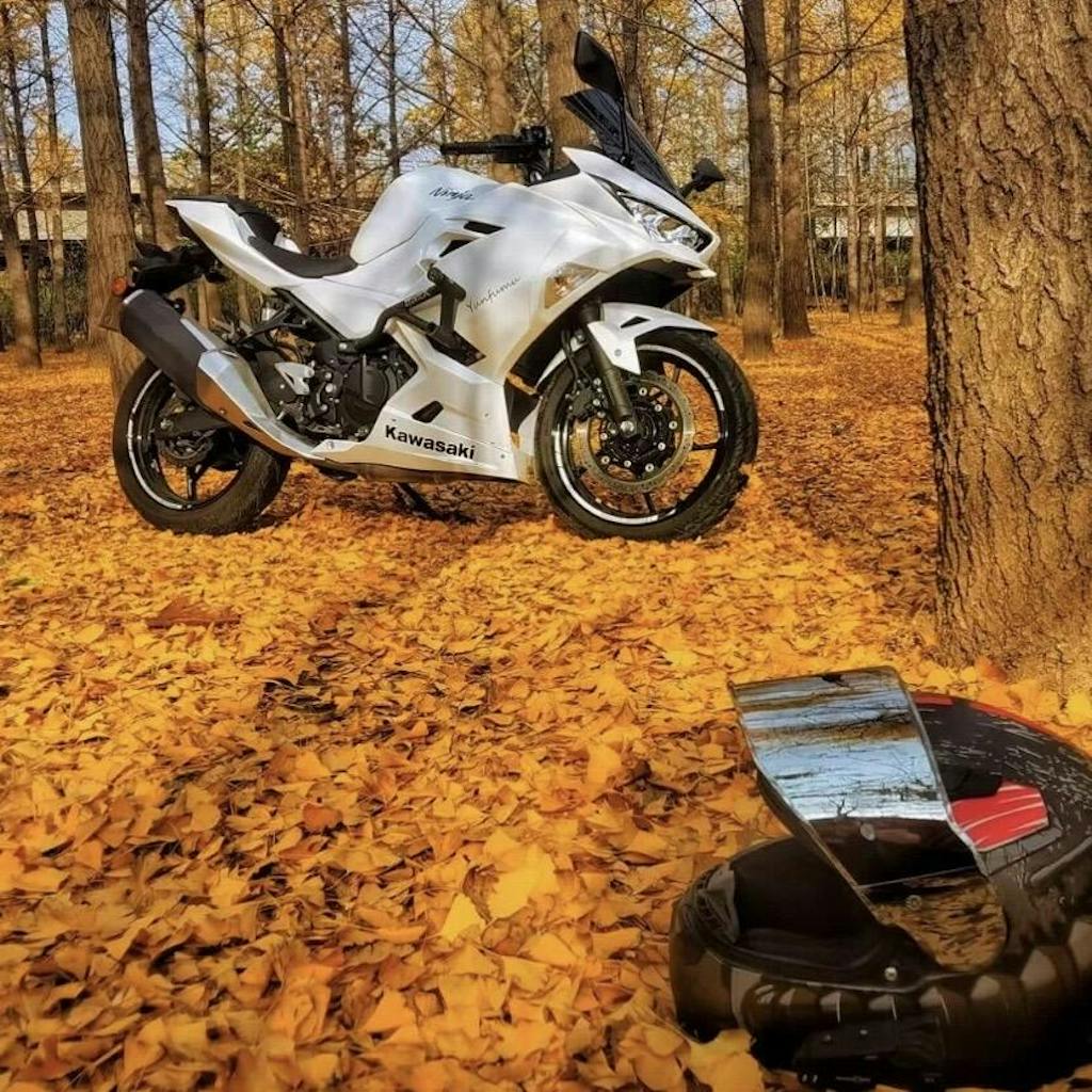 Amotopart  Kawasaki EX400/Ninja400 2018-2024 Pearl White Fairing Kit