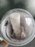 MIYU Croissant 8 Suction Clitoral Stimulation Vibrator