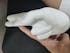 Realistic Finger Flapping Clitoris G Spot Vibrator