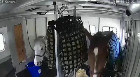 NomadEye - Wireless Portable Horse Trailer Camera