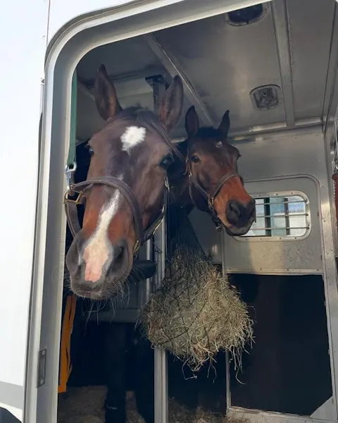 NomadEye - Wireless Portable Horse Trailer Camera