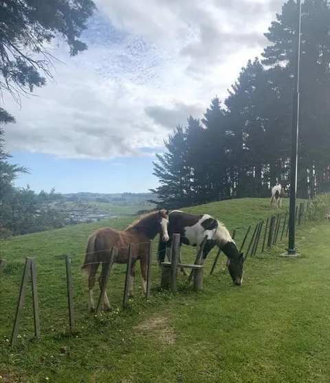 Sero - Portable Wireless Barn & Stable Wi-Fi Camera