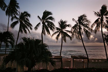 フィルムカメラ Silberra 100 LIMITED FILM!!!! フィルムカメラ Silberra 100 LIMITED FILM!!!! フィルムカメラ