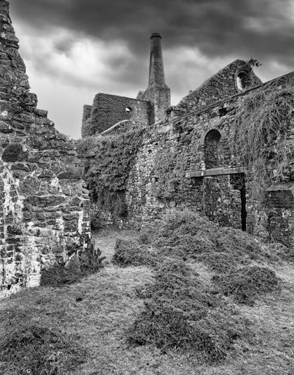 Fomapan 100 4x5 Film Analogue Wonderland