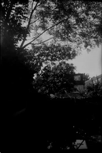 Fomapan 100 120 *OVER DATE 08/24 - View #13