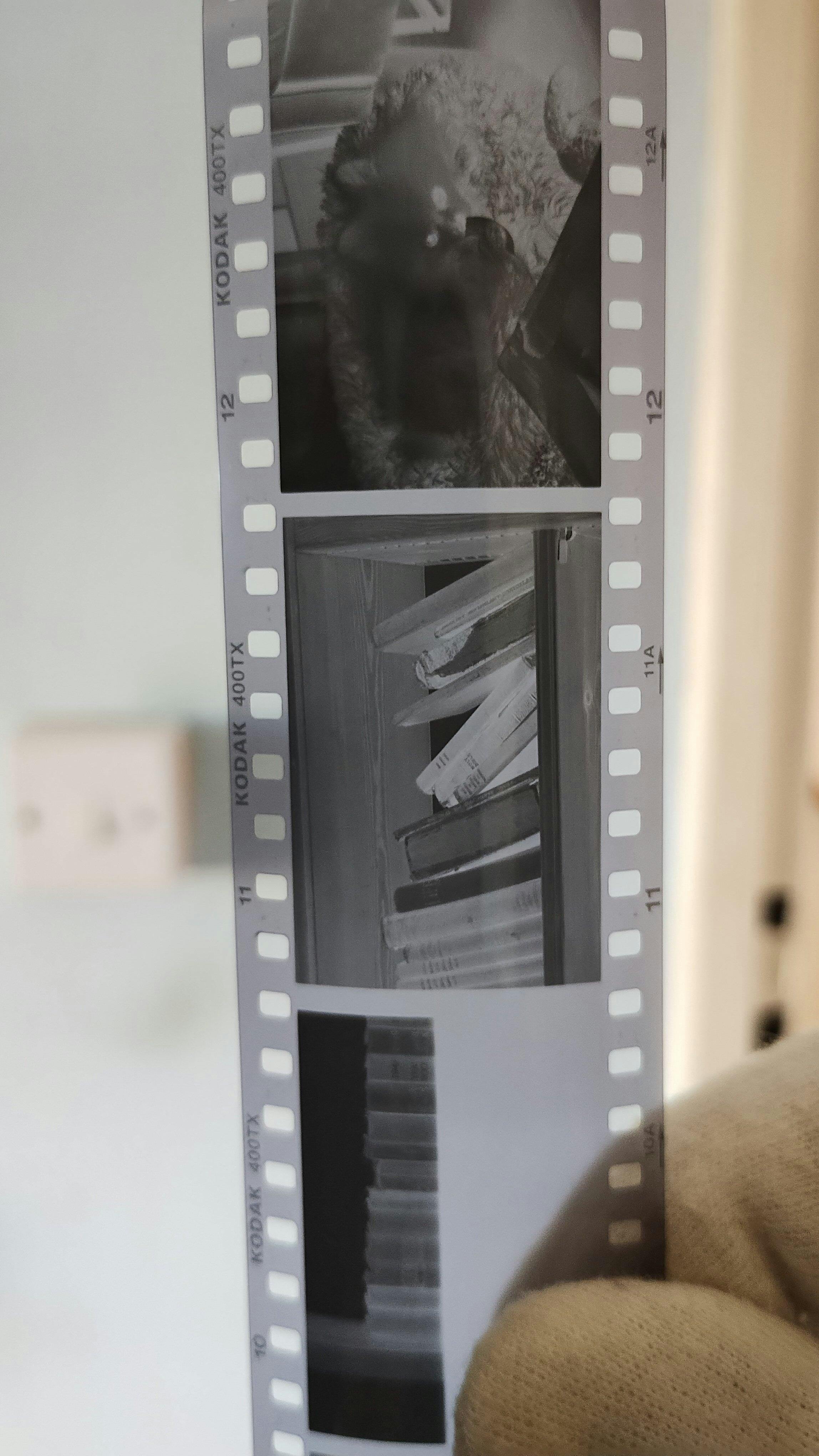Kodak Tri-X 400 - 35mm Film - Analogue Wonderland