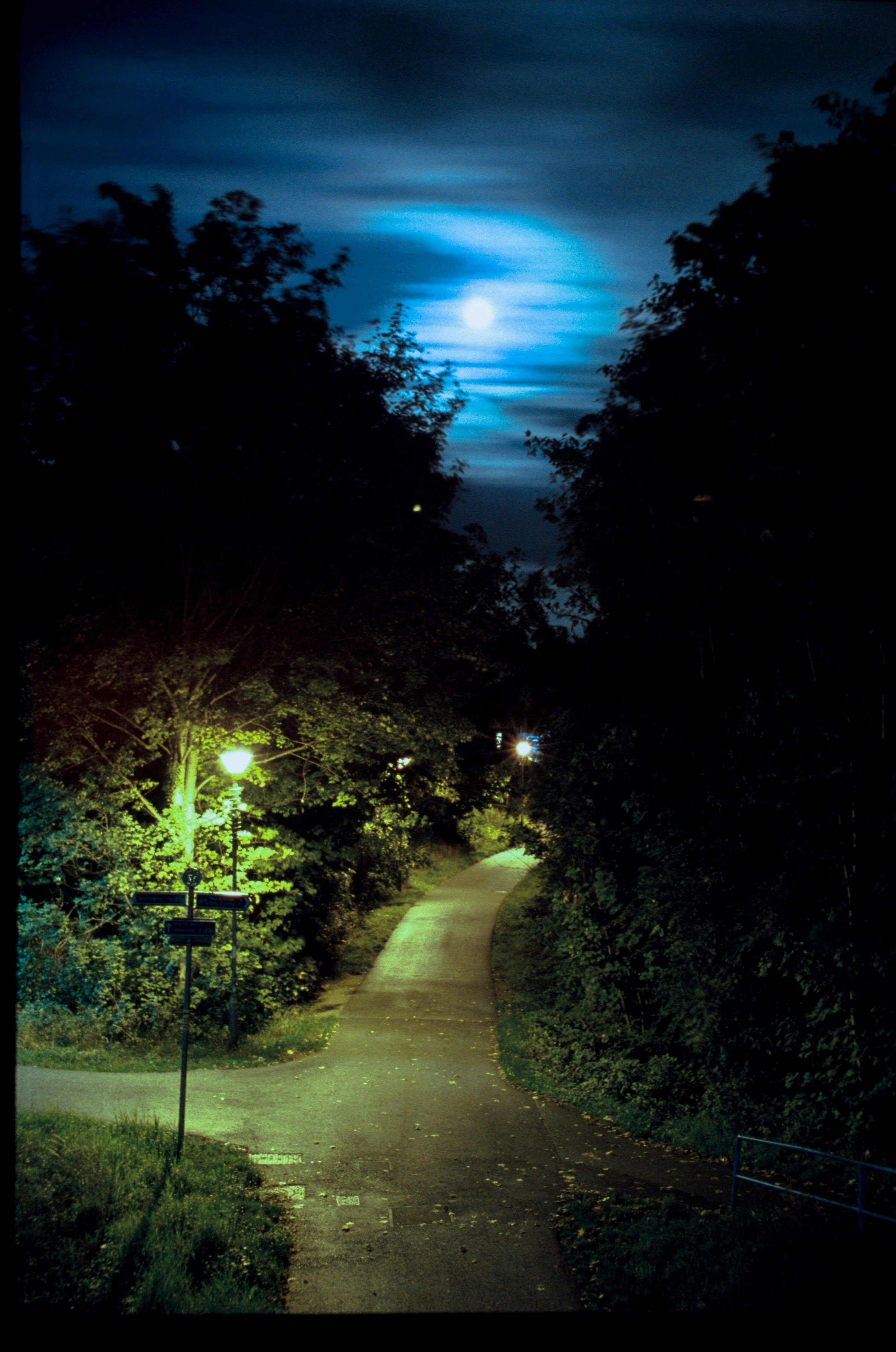 Fujifilm Velvia 50 - 35mm Film - Analogue Wonderland