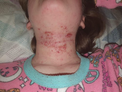 UNSCENTED Tallow & Honey Balm