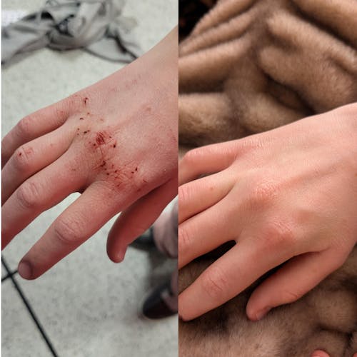 Original Tallow & Honey Balm