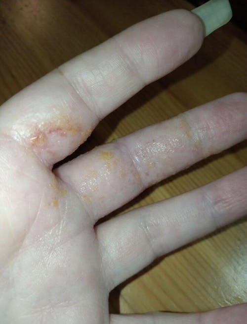 Original Tallow & Honey Balm