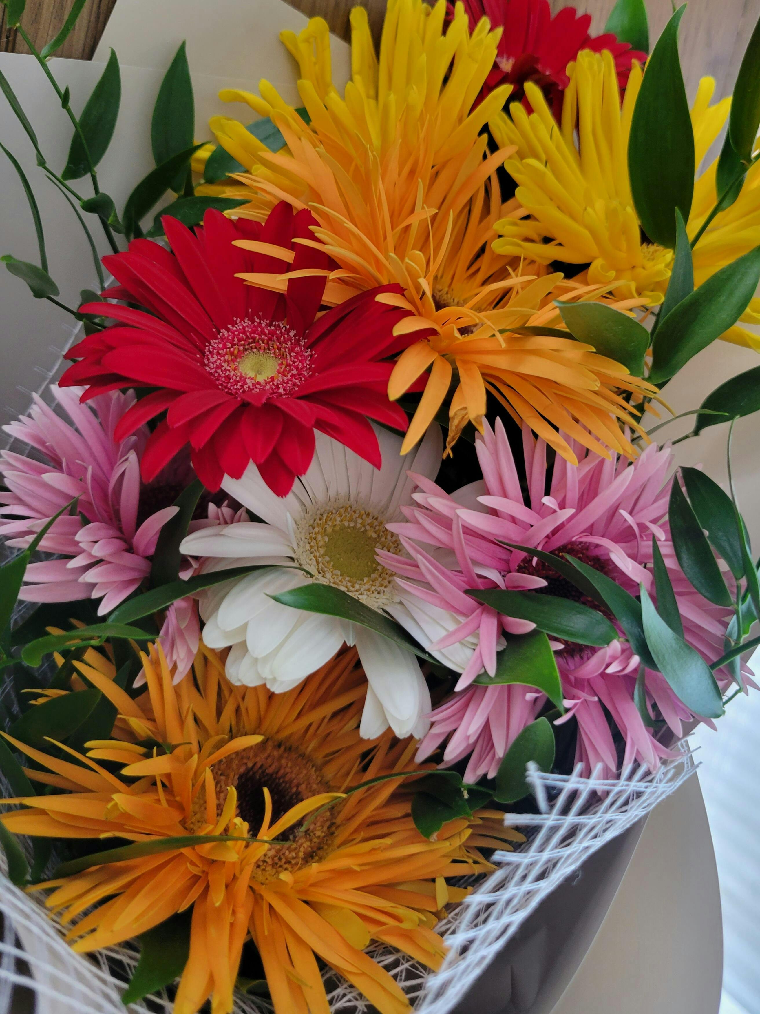 ガーベラの花束 10本 - ミックス - | お花の通販AND PLANTS (アンド