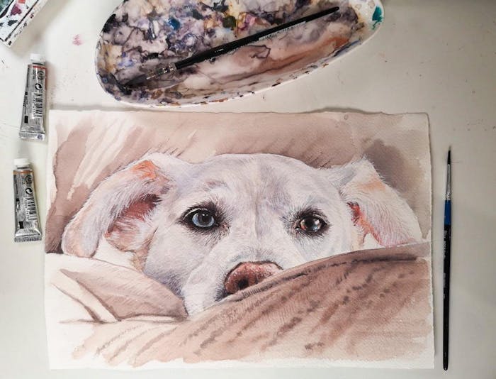 Handmade Custom Watercolor Dog Portrait | Pet Portrait from Photo