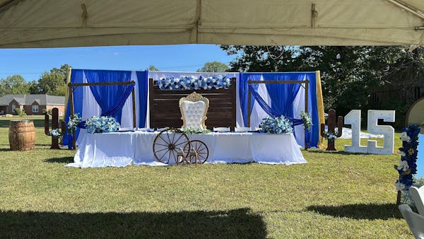 A4807 A7557 Blue Flower Row Wedding Backdrop Centerpiece Floral Ball