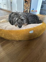 Hundebettbezug Flocke "Cord-komplett kombiniert mit Cord"