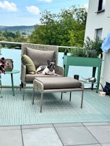 Tragegurt für Hundedecken