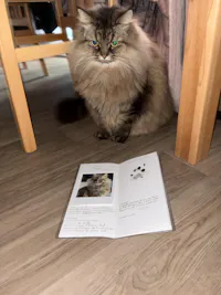 Livret de famille animalier