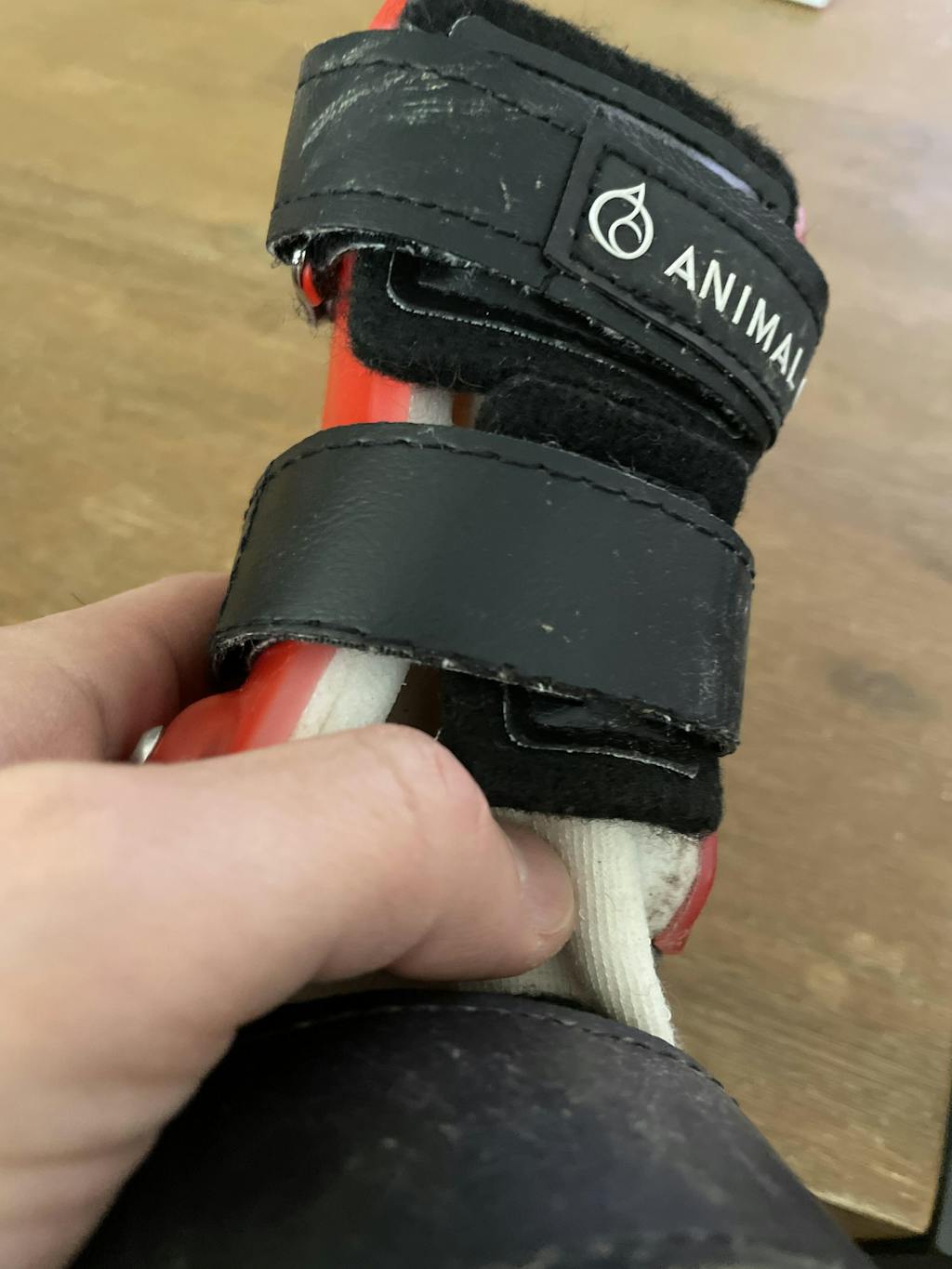 Custom Hock (Ankle) Brace Dog Tarsal Rear Leg Brace Animal Ortho Care