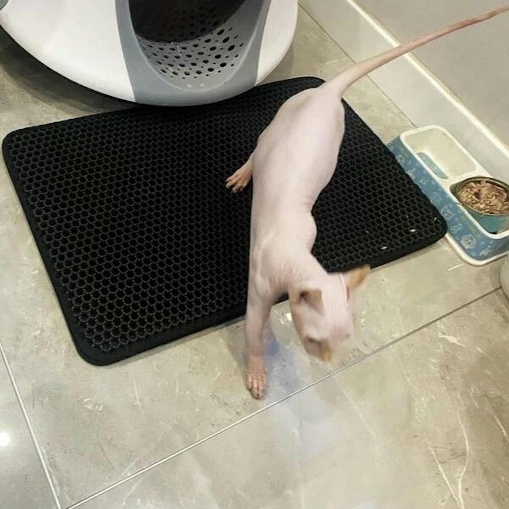 GritGone⢠Kattenbakmat