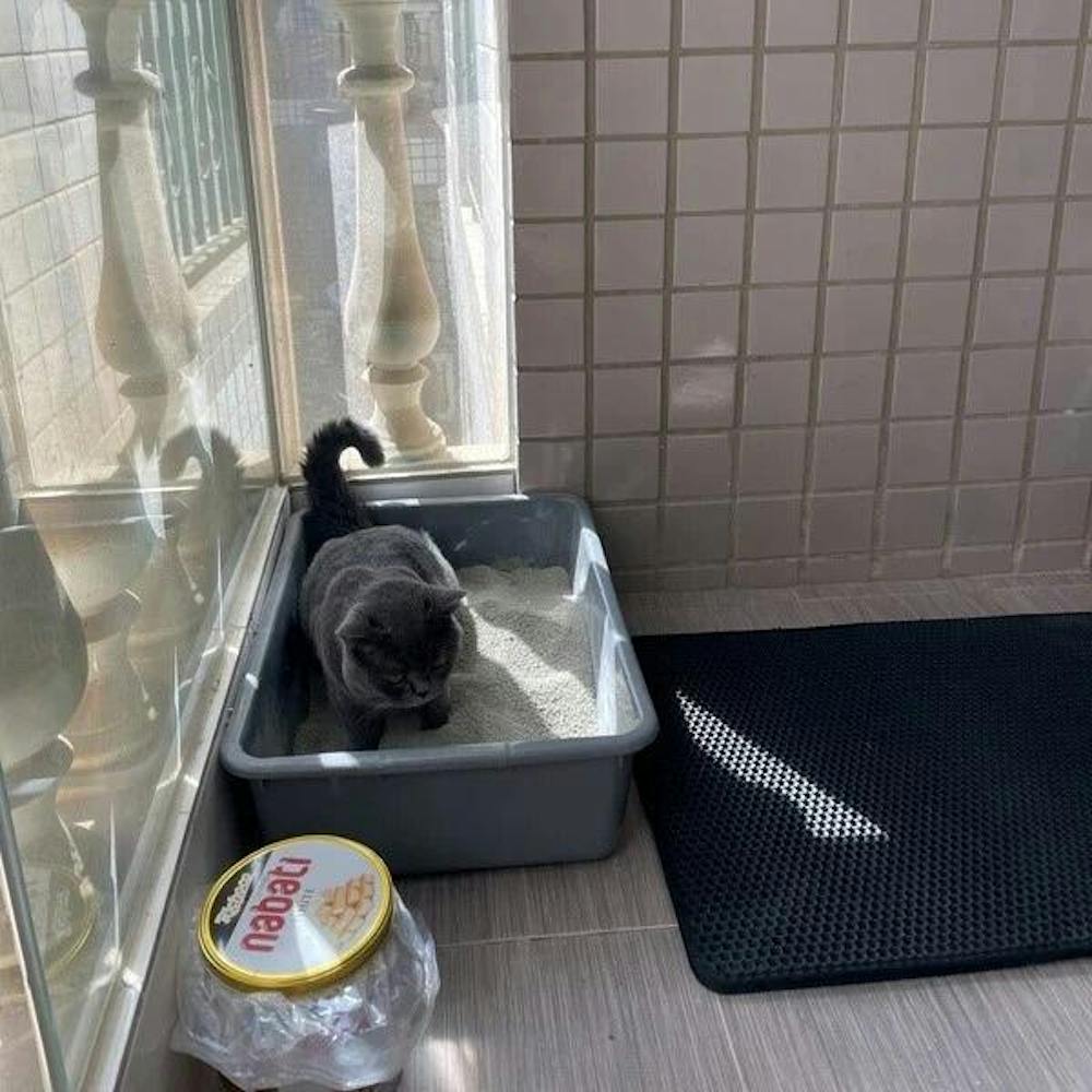 GritGone⢠Kattenbakmat